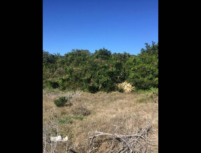 LAND FOR SALE IN ASTON BAY